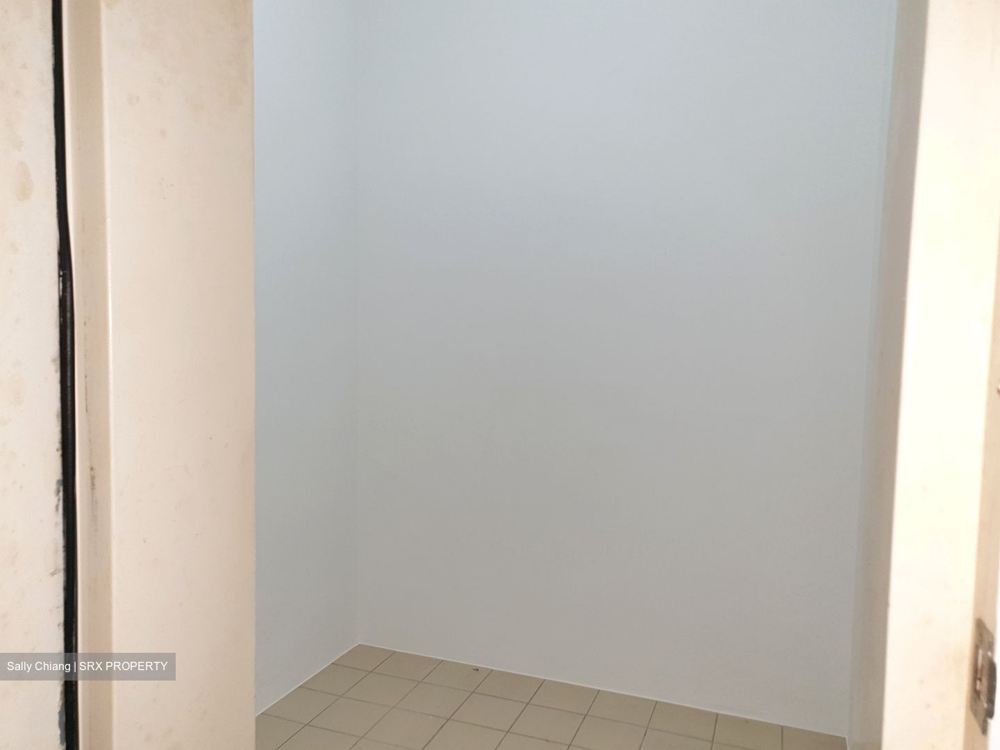 Rocca Balestier (D12), Apartment #433768741